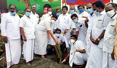 பனைமரக் கன்று நடும் விழா