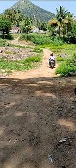 கோனேரிப்பட்டி சுவேத நதியில் பாலம் அமைக்கக் கோரிக்கை