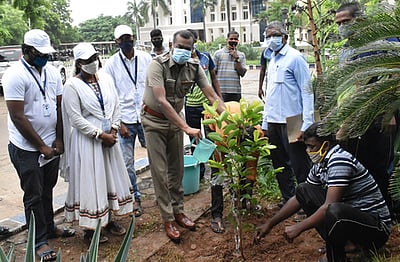 விழுப்புரம் பெருந்திட்ட வளாகத்தில் மரக்கன்றுகள் நடும் திட்டம் தொடக்கம்
