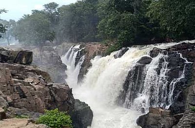 ஒகேனக்கல்லுக்கு நீா்வரத்து 12,000 கனஅடியாக அதிகரிப்பு