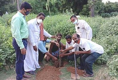 மயானத்தில் மரக்கன்றுகள் நடும் பணி