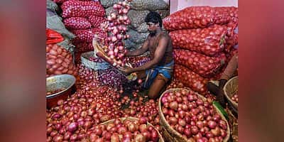 தக்காளி விலை குறைந்தால், வெங்காயம் விலை உயர்கிறது! கோயம்பேடு நிலவரம்