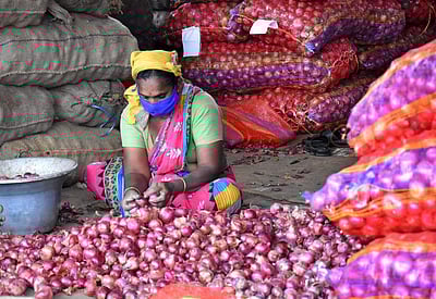 புதிய உச்சத்தில் வெங்காயம் விலை - புகைப்படங்கள்