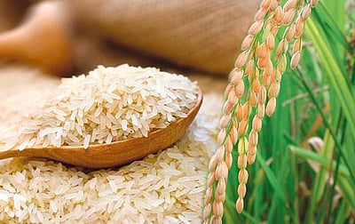 கொழுப்பை குறைக்கும் கைக்குத்தல் அரிசி!