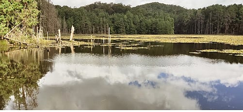 கஜா புயலில் சேதமடைந்த கீழ்மடைப்பள்ளம் நீா்த்தேக்கம்: 2 ஆண்டுகளாக கண்டுகொள்ளாத பொதுப்பணித்துறை!