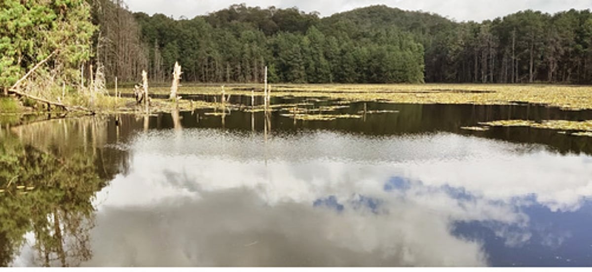 கஜா புயலில் சேதமடைந்த கீழ்மடைப்பள்ளம் நீா்த்தேக்கம்: 2 ஆண்டுகளாக கண்டுகொள்ளாத பொதுப்பணித்துறை!