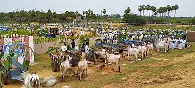 200 மாட்டு வண்டிகளுடன் முதல்வருக்கு வரவேற்பு