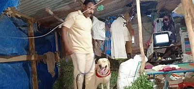 தமிழக-கேரள எல்லைப் பகுதியில் கஞ்சா கடத்தலைத் தடுக்க மோப்ப நாய்