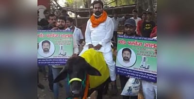 பிகாரில் எருமை மீது அமர்ந்து பிரசாரம் செய்த வேட்பாளர் கைது