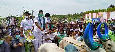 மாட்டு வண்டி ஓட்டினார் முதல்வர் பழனிசாமி