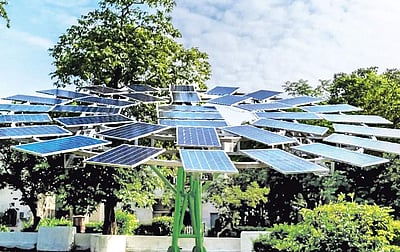 மின்சார மரம்