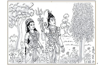 மங்கையர்க்கு உடன்படும் மரங்கள்!