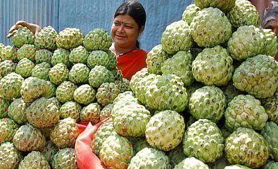 மன அழுத்தத்தைக் குறைக்கும் 'சீத்தாப்பழம்'