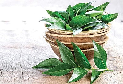 கறிவேப்பிலையின்  மருத்துவ குணங்கள்..