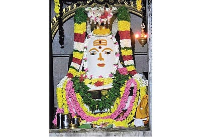 ஆயுள் கூட்டும் அன்னாபிஷேக தரிசனம்