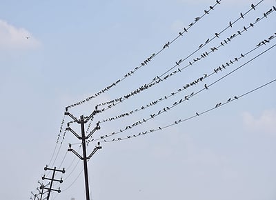 சென்னையில் சனிக்கிழமை மின்தடை ஏற்படும் பகுதிகள் அறிவிப்பு