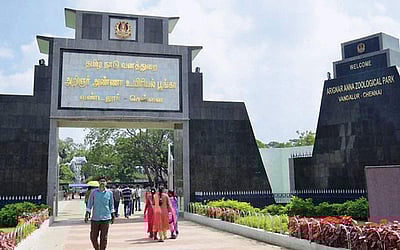 இங்கே போயிருக்கிறீர்களா? 