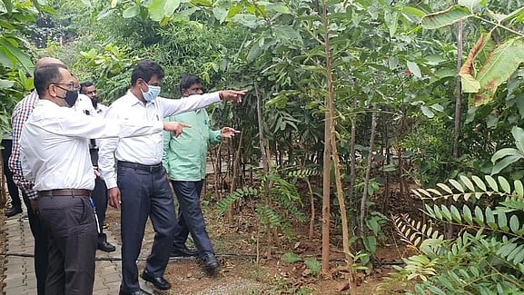 ஒசூா் மாநகராட்சியில் 20 இடங்களில் குறுங்காடுகள் வளா்ப்பு திட்டம் தீவிரம்