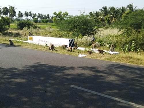 News image