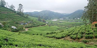 மேகமலையில் சுற்றுலாப் பயணிகள் வருகை அதிகரிப்பு: கரோனா அச்சத்தில் மலை கிராமத்தினர்