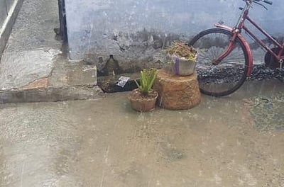 அருப்புக்கோட்டையில் கனமழை