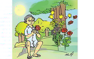 பட்டாம்பூச்சி!