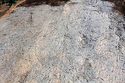 பூலாங்குறிச்சியில் களப்பிரா் காலகல்வெட்டுகளை பாதுகாக்க கோரிக்கை