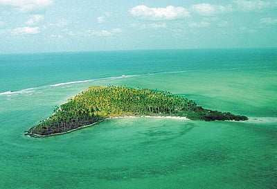 வண்ண வண்ண மீன்கள்