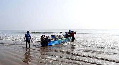 படகிலிருந்த மீனவரை கடலுக்குள் இழுத்துச் சென்ற மார்லின் மீன்! 