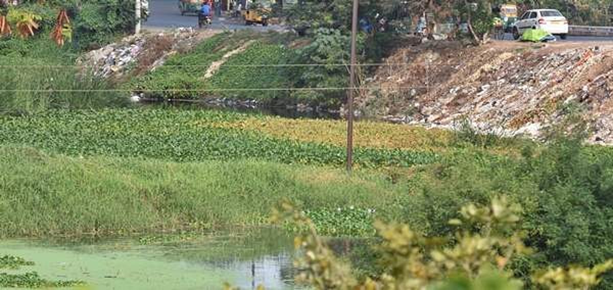 பாகிஸ்தானில் ஆட்டோ கால்வாயில் கவிழ்ந்து விபத்து: 20 பேர் பலி