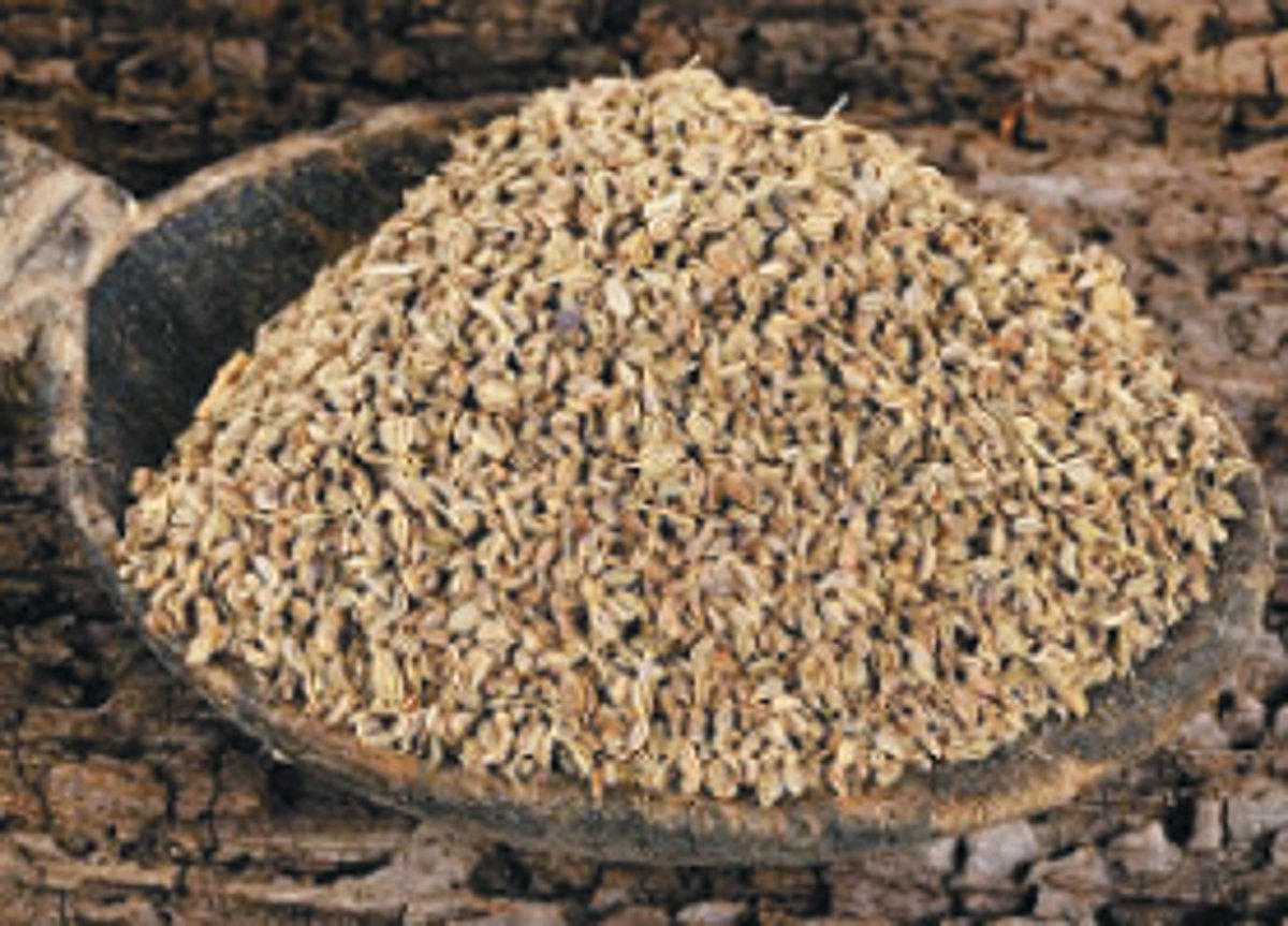 வயிறு உப்புசத்தைப் போக்க உதவும் சூரணம்