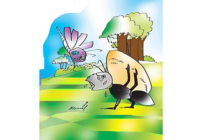 பிடிவாத எறும்பு!