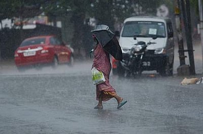 நெல்லையில் தொடர் மழை: இயல்பு வாழ்க்கை பாதிப்பு