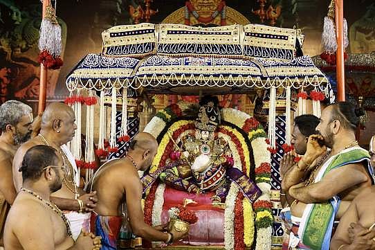 முத்துப்பந்தல், சிம்ம வாகனத்தில்  பத்மாவதி தாயாா் சேவை