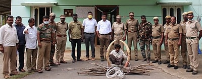 மின்வேலியில் சிக்கி ஆண் யானை பலி: விவசாயி கைது!