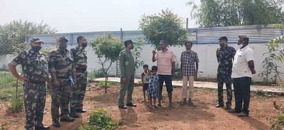 பல்லடம் அரசு மேல்நிலைபள்ளியில் மூலிகைப் பண்ணை