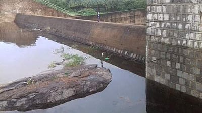 சண்முகாநதி அணைப்பகுதியில் கன மழை: ஒரே நாளில் 8 அடி உயர்ந்தது