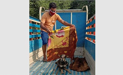 மறையாத மனிதநேயம்: பைக் மோதி கால்கள் உடைந்த சினை நாயை சென்னை புளூகிராஸ் மருத்துவமனைக்கு அனுப்பிவைத்த மக்கள்