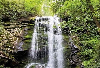 இணைய வெளியினிலே...