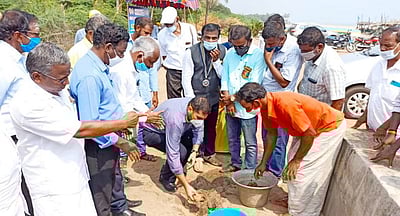 காரைக்கால் கடலோரத்தில் பனை விதைப்பு
