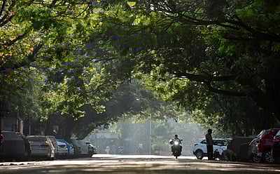 'மனநல ஆரோக்கியத்துக்கு இயற்கை அவசியம்'