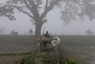 ஹிமாசலில் ஒட்டுமொத்த கிராமத்துக்கும் கரோனா; ஒரே ஒருவரைத் தவிர