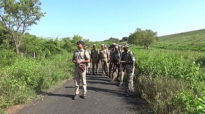 ஒற்றை யானை நடமாட்டம்: பவானிசாகா் அணைப் பகுதியில் வனத் துறையினா் தீவிர கண்காணிப்பு