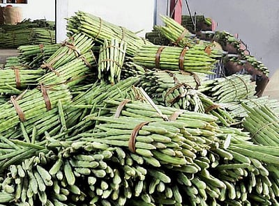 வெள்ளக்கோவிலில் முருங்கைக்காய் கிலோ ரூ. 50