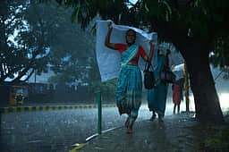 பாபநாசம் வட்டாரத்தில் பரவலாக கனமழை