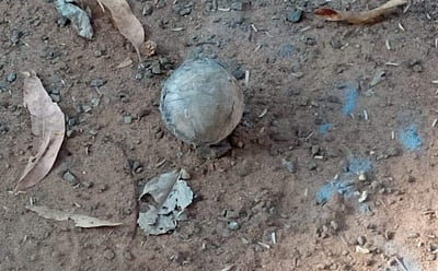 நாகர்கோவிலில் அதிமுக எம்.பி. வீட்டின் முன்பு நாட்டு வெடிகுண்டு கண்டெடுப்பு