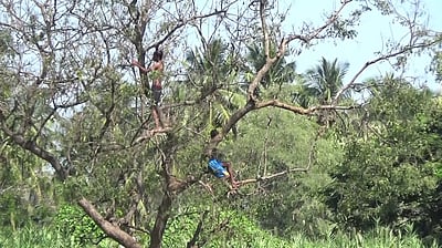 ஆபத்தை உணராமல் கீழ்பவானி வாய்க்காலில் குளிக்கும் சிறுவா்கள்