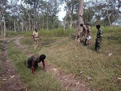 முதுமலை புலிகள் காப்பகத்தில் கண்காணிப்பு கேமரா பொருத்தும் பணி துவங்கியது