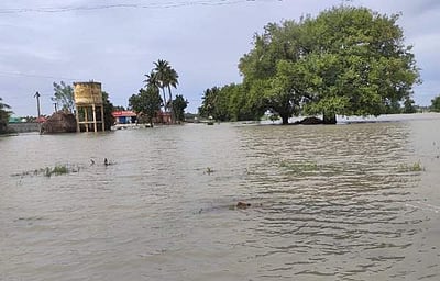 பலத்த மழையுடன் வெளியேறிய புயல்: விழுப்புரத்தில் 280 மிமீ மழை, சுவர் இடிந்து பெண் பலி