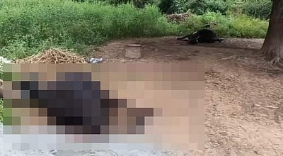 ஊத்தங்கரை அருகே 7 மாடுகள் உயிரிழப்பு: விவசாயிகள் வேதனை